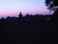 DSCN1604